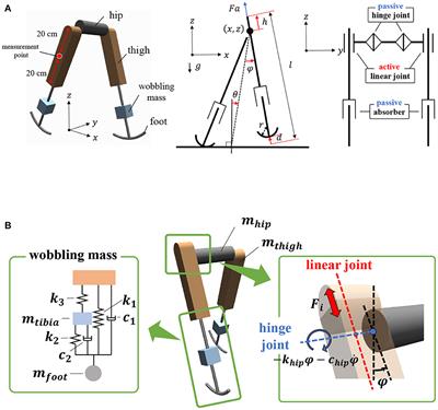 Multimodal bipedal locomotion generation with passive dynamics via deep reinforcement learning